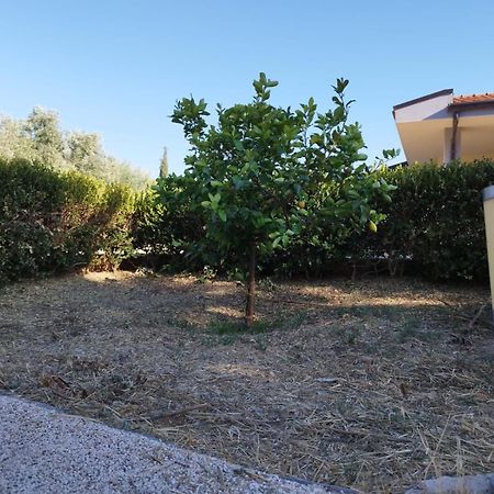Casa Di Fiore เอนนา ภายนอก รูปภาพ