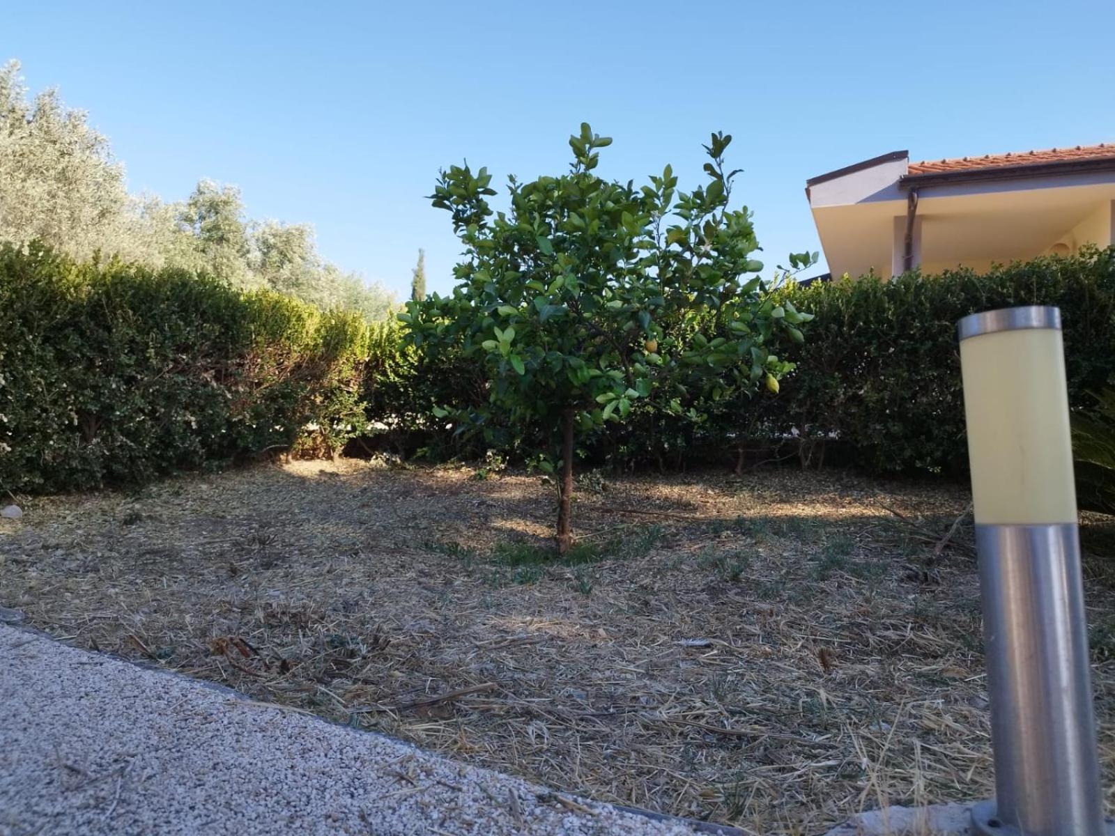 Casa Di Fiore เอนนา ภายนอก รูปภาพ